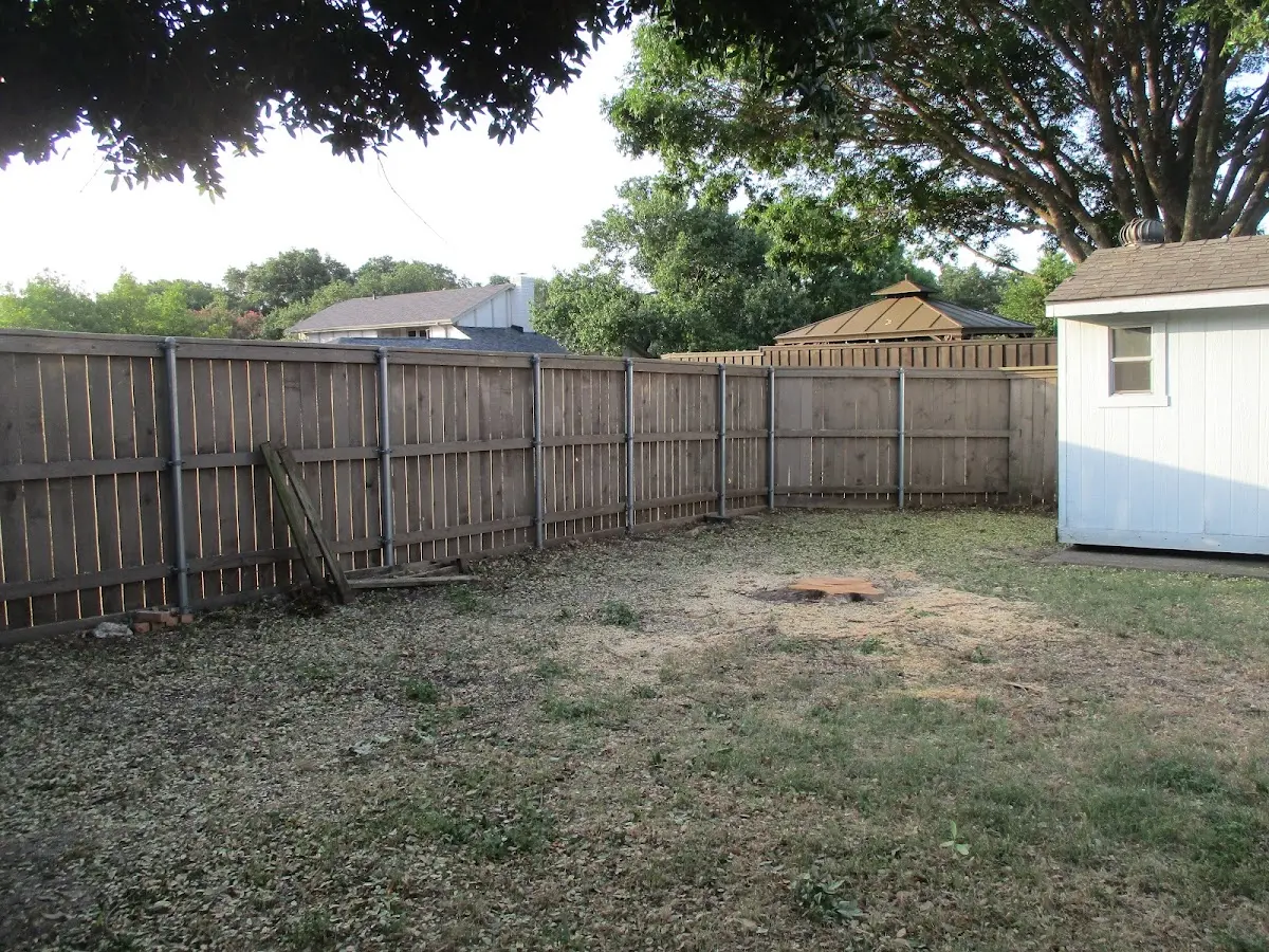 Cleared yard after professional tree removal in Linn Grove