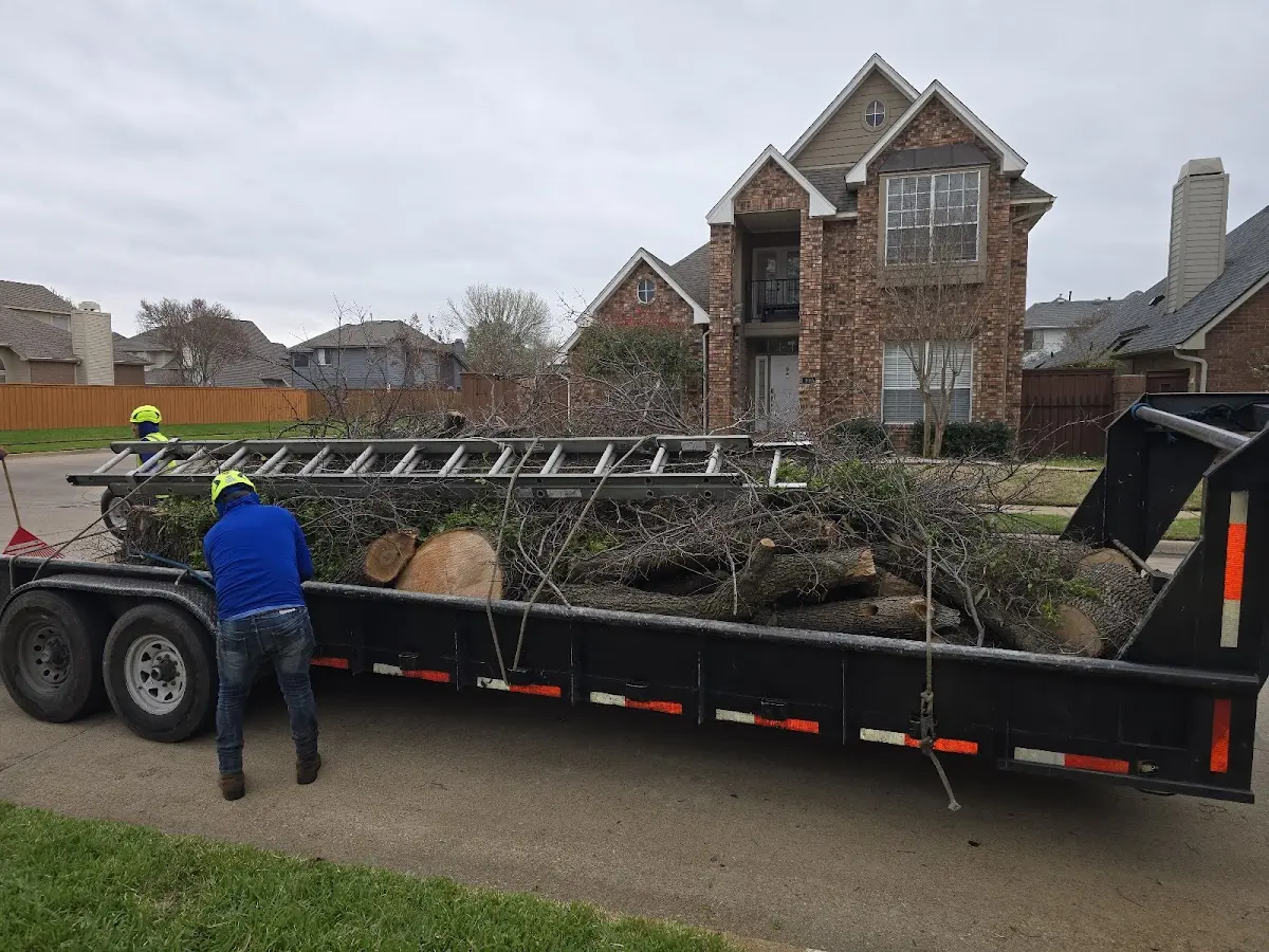 Expert Tree Removal with proper safety equipment in Linn Grove